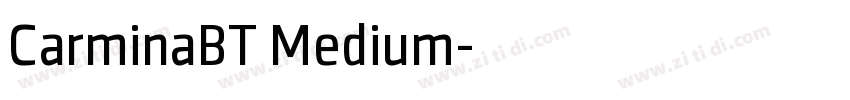 CarminaBT Medium字体转换